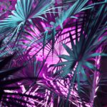 Tag des offenen Denkmals® 2025: Thüringen eröffnet bundesweiten Kulturhöhepunkt in Gera