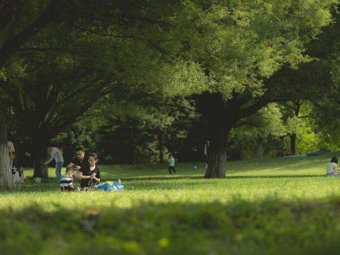 Scheissegal – der etwas andere Song von Stefan Carabao