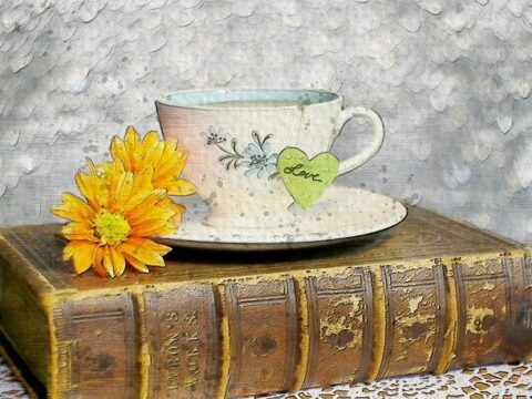 Willkommen im Jahr des Pferdes!