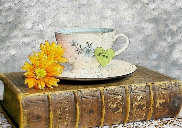 Willkommen im Jahr des Pferdes!