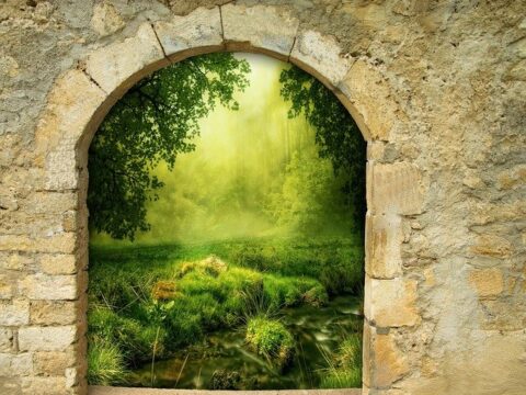 Emil Kusmirek zum europäischen Wertungsrichter berufen.