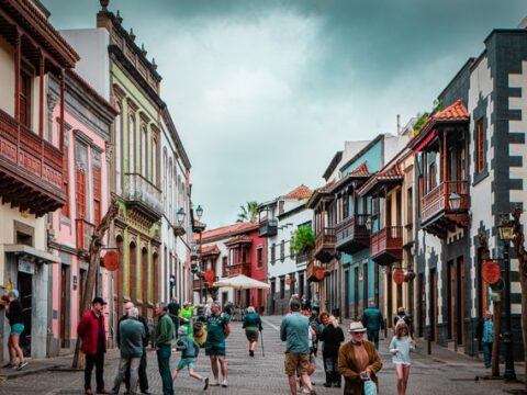 Warum immer mehr Haustierhalter unter „compassion fatigue“ leiden