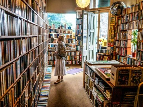 Faszination Vampire: Ein unsterblicher Trend