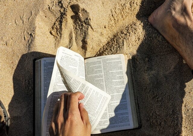 Fleißiges Deutschland? Wie aus der Arbeitsmoral eine Krankheitsmoral wurde Fleißiges Deutschland? Wie aus der Arbeitsmoral eine Krankheitsmoral wurde