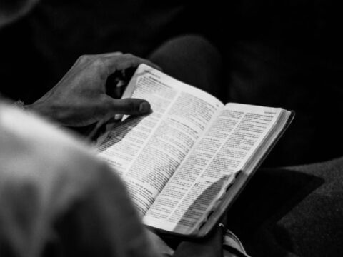 Bastian Pastewka blamierte sich mit Phishing-Mail bei seiner Bank / Kundenberaterin „hätte ihn für schlauer gehalten“ – Google gibt seinen Namen als „Pastewka-Schlaganfall“ an