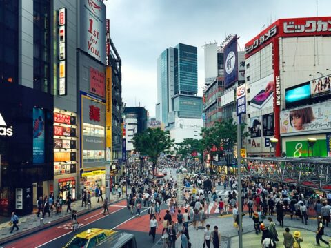 Warum die Ausstellung „Metamorphosen“ ein Highlight des Frühlings ist