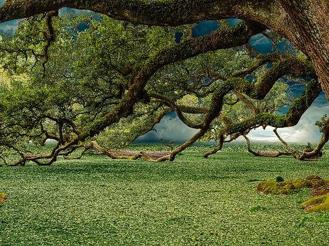 Schluss mit Couch-Potato: „Tobi und die Tanz-Tiger“ bringen den Karneval ins Kinderzimmer