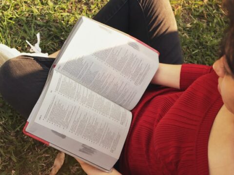 Circle of Steel Festival 2026 in Meßkirch: HEAVYSAURUS + Headliner The Ides of March