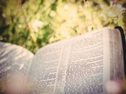 Genter Museum lehnt Rückgabe von NS-Raubkunst ab