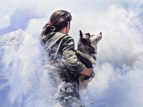 Wenn die Labor-Theorie keine Theorie mehr ist