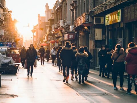 Die Verprollung der Welt